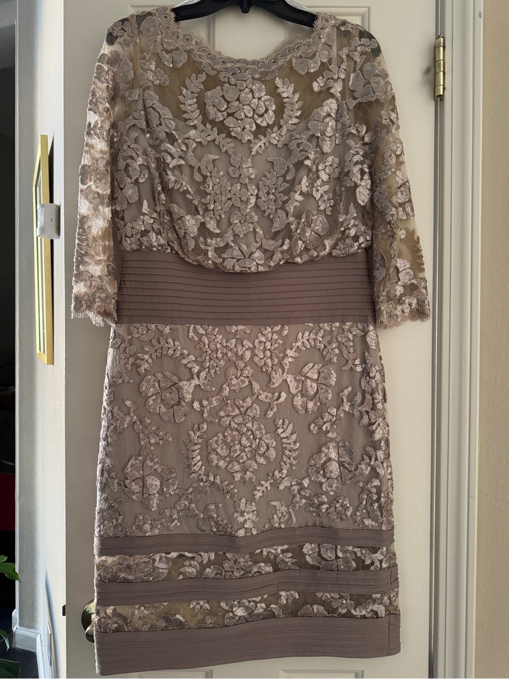 Tadashi Shoji Dusty Taupe Lace Cocktail Dress with Illusion Sleeves
